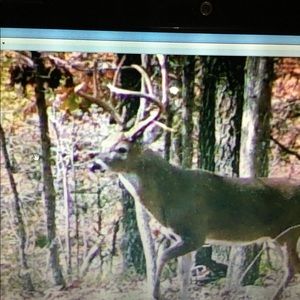 Meet your Posher, Derek